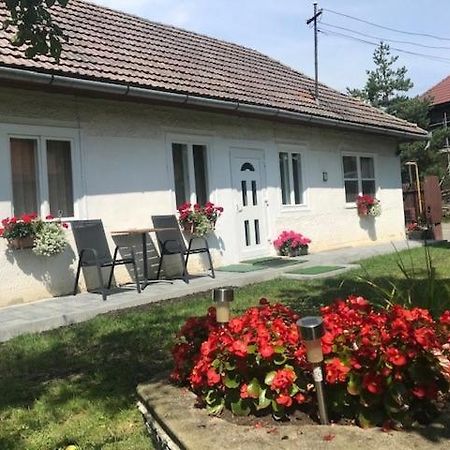 Casuta Sanatatii Hotel Ковасна Екстериор снимка