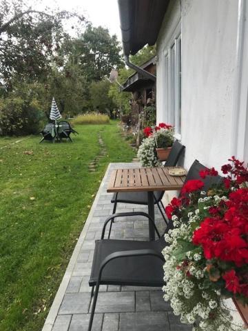 Casuta Sanatatii Hotel Ковасна Екстериор снимка