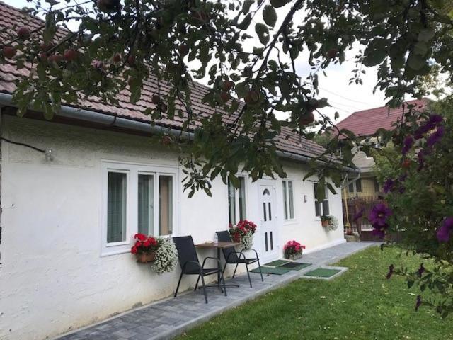 Casuta Sanatatii Hotel Ковасна Екстериор снимка