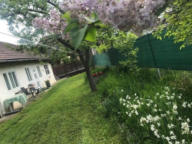 Casuta Sanatatii Hotel Ковасна Екстериор снимка