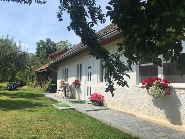 Casuta Sanatatii Hotel Ковасна Екстериор снимка